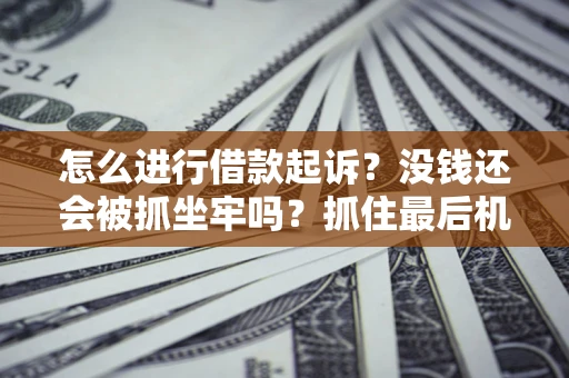 济南怎么进行借款起诉？没钱还会被抓坐牢吗？抓住最后机会！