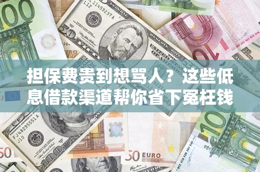 济南担保费贵到想骂人？这些低息借款渠道帮你省下冤枉钱