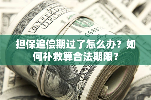 济南担保追偿期过了怎么办？如何补救算合法期限？
