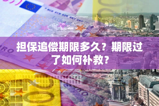 济南担保追偿期限多久？期限过了如何补救？