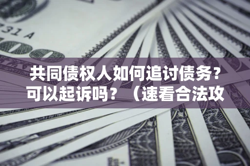 济南共同债权人如何追讨债务？可以起诉吗？（速看合法攻略）