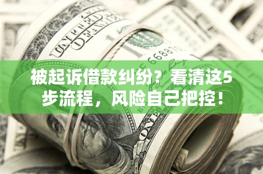 济南被起诉借款纠纷？看清这5步流程，风险自己把控！